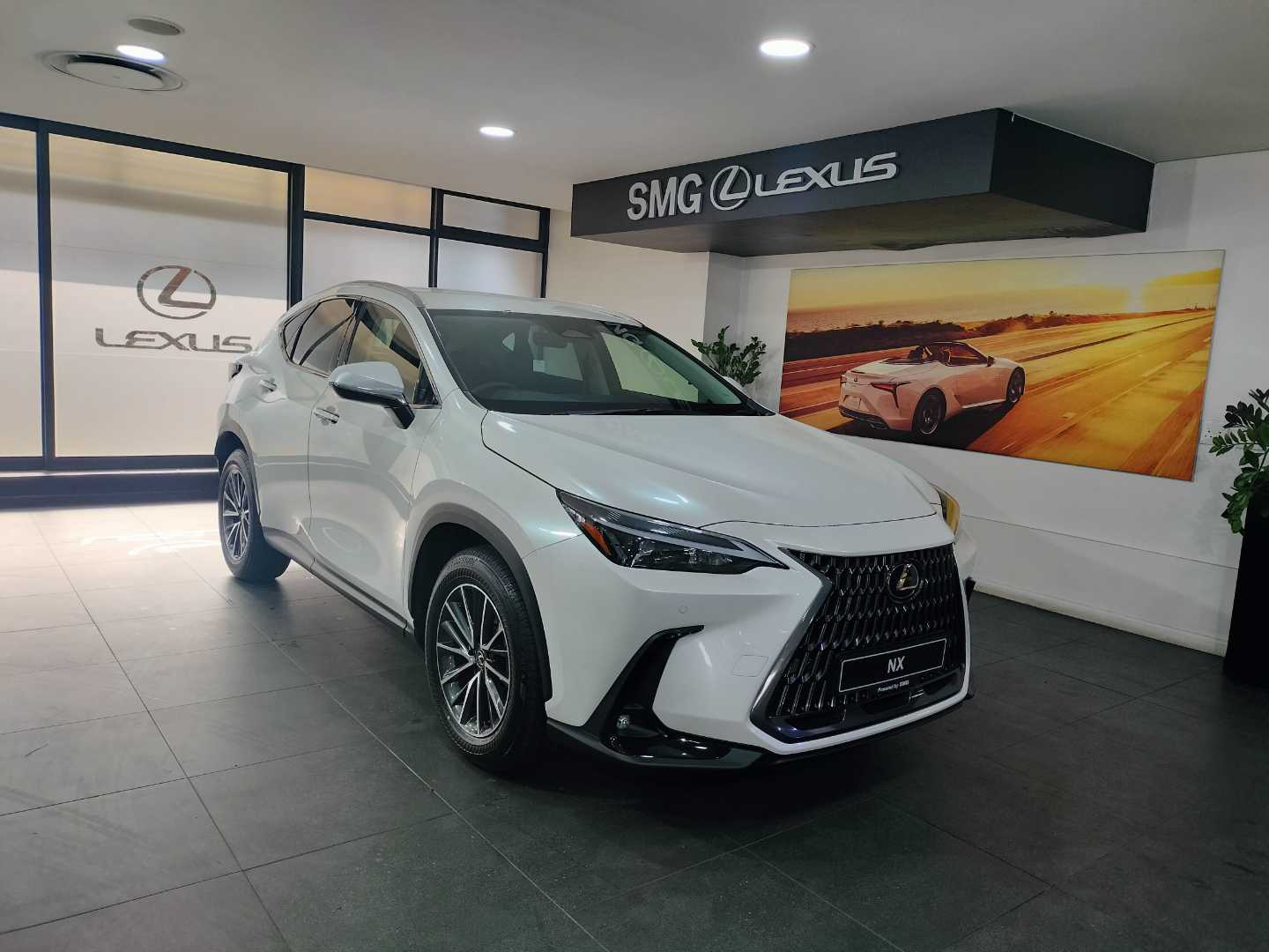 2025 Lexus NX250 EX  for sale - SMG04|USED|500644