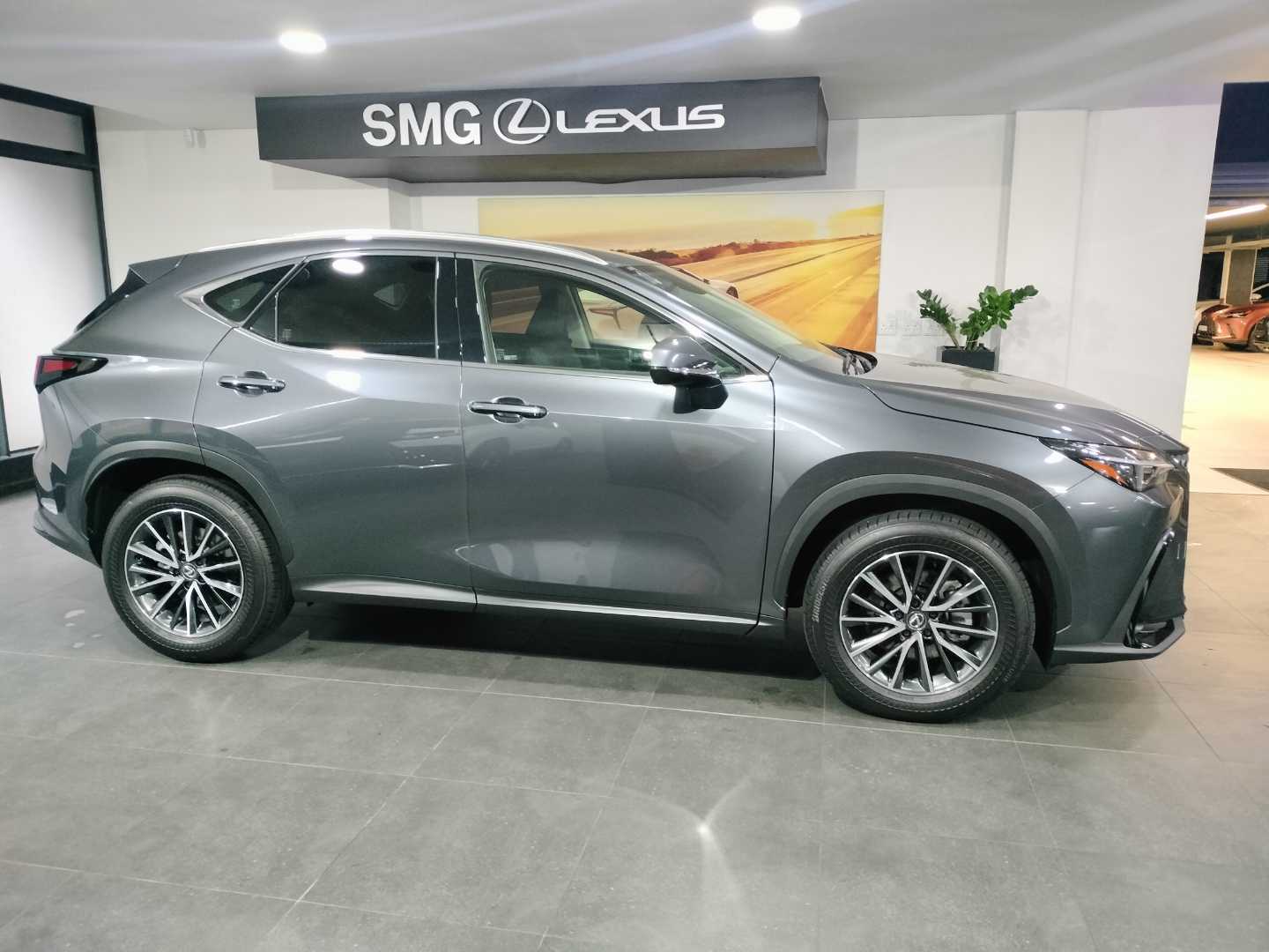 Lexus NX 250 EX