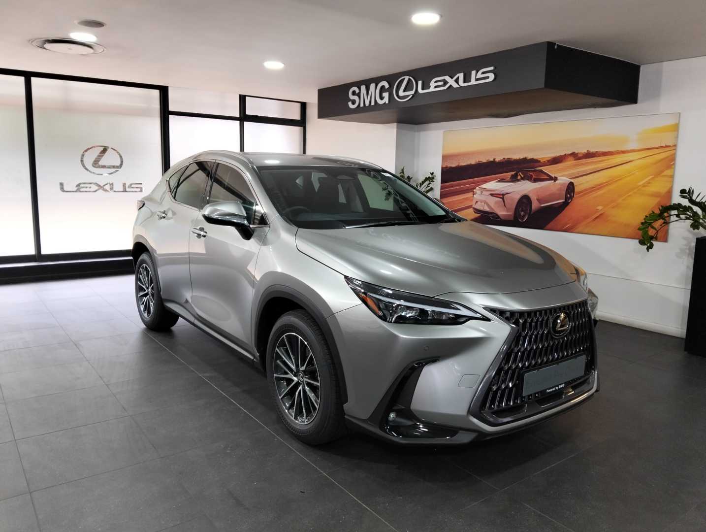 2025 Lexus NX250 EX  for sale - SMG04|USED|500650