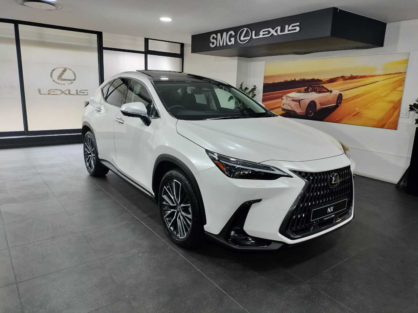 2025 Lexus NX 350h SE  for sale - SMG04|USED|500658