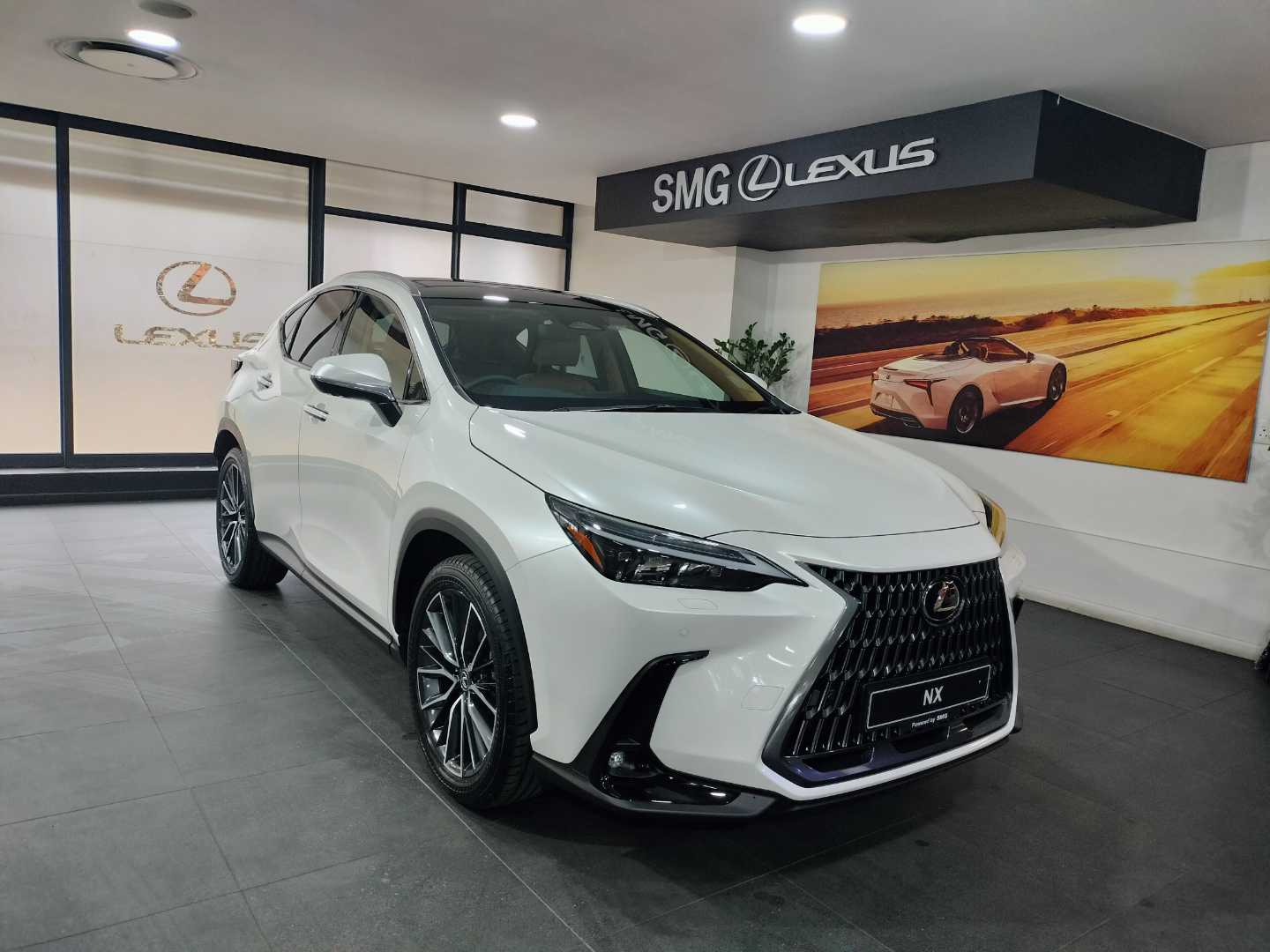 2025 Lexus NX 350h SE  for sale - SMG04|USED|500630