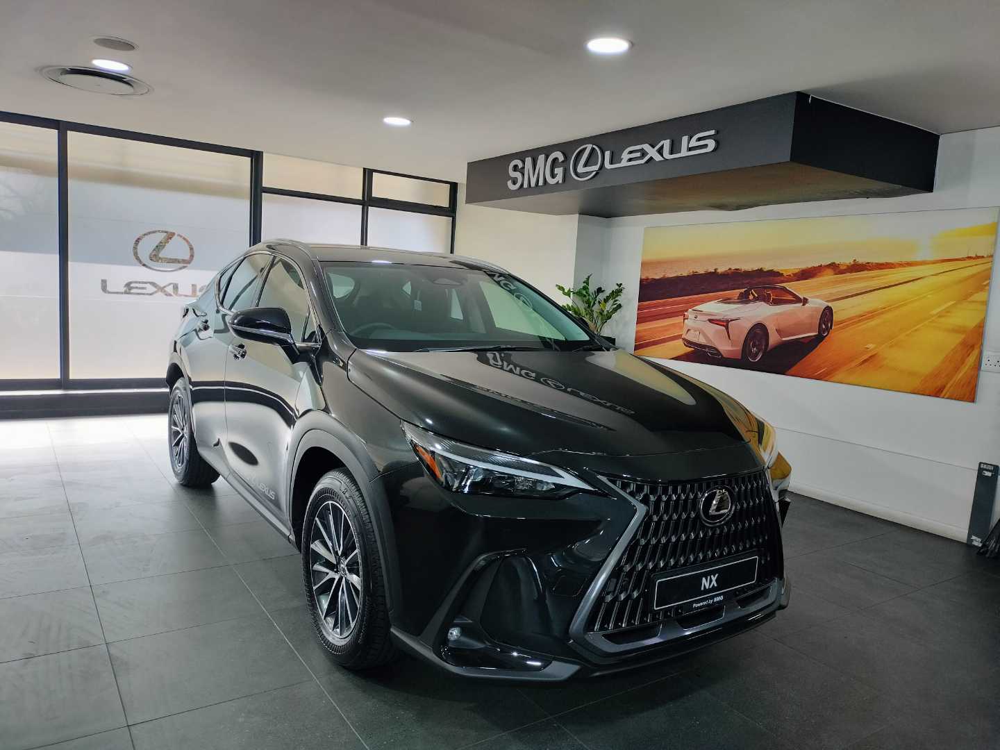 2024 Lexus NX250 EX  for sale - SMG04|USED|500556